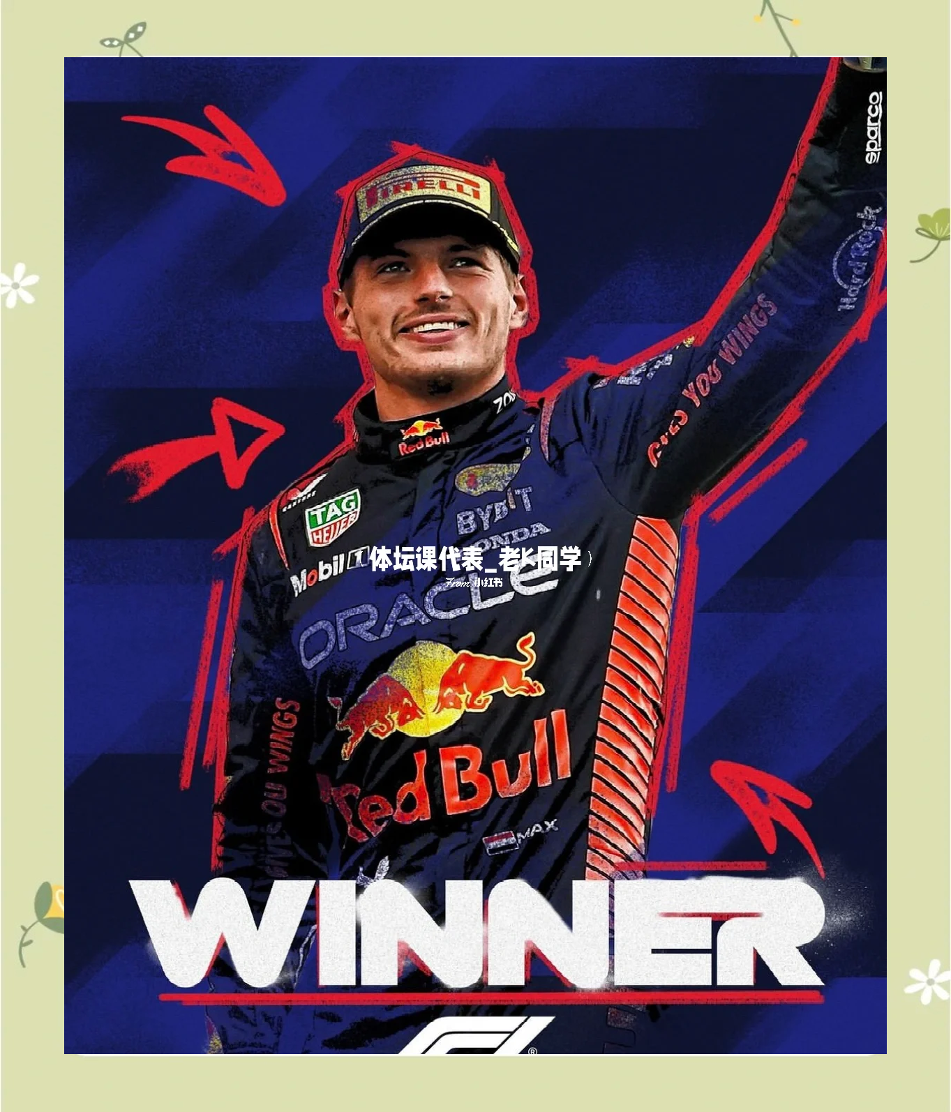 雷诺车队险胜索伯车队，维斯塔潘惊艳四座的简单介绍