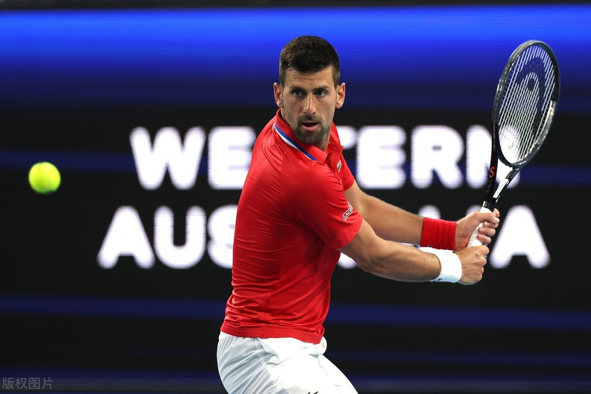 联合杯横扫拉沃尔杯，德约科维奇高光表现的简单介绍