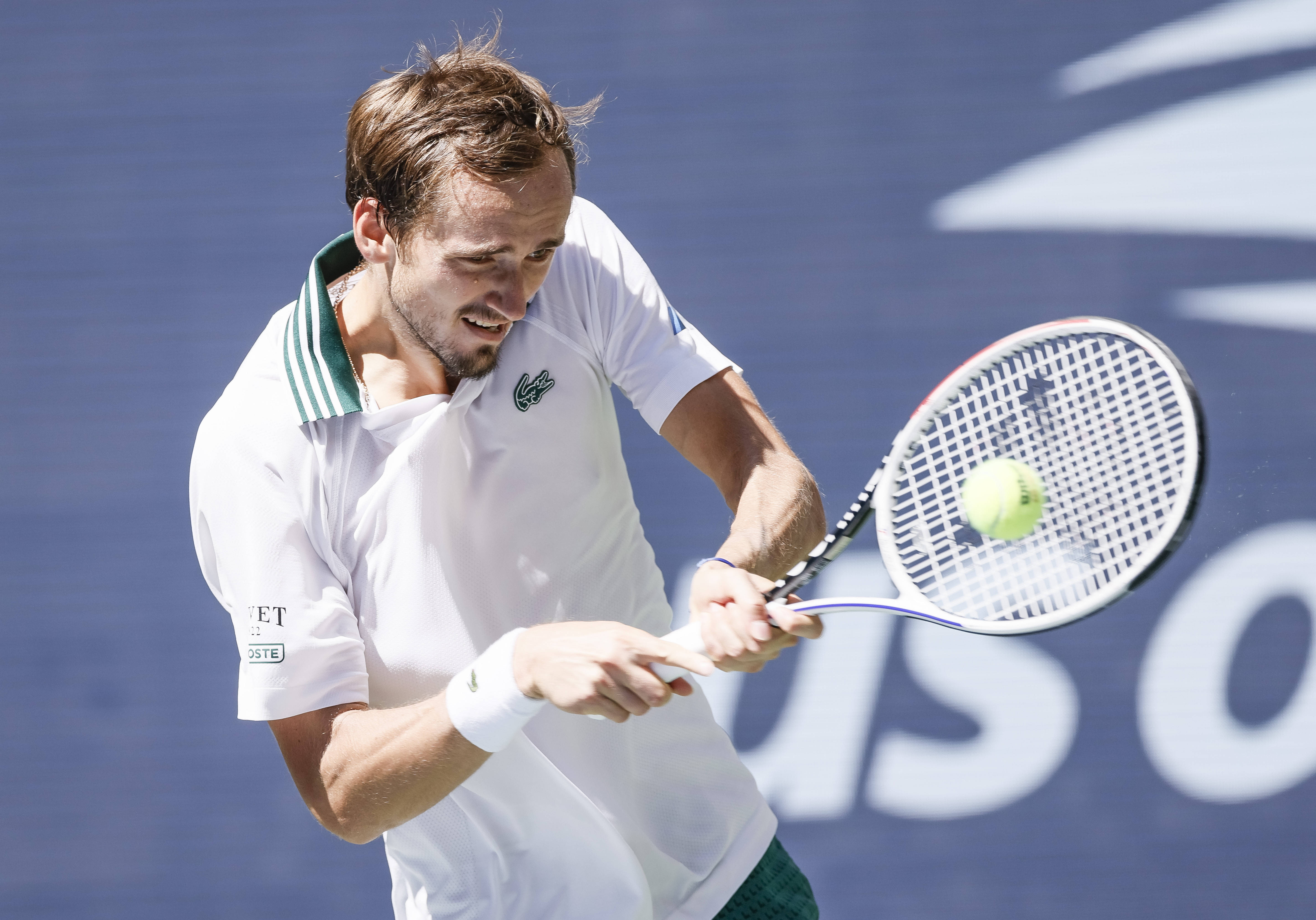 美网横扫年终总决赛，梅德韦杰夫关键制胜的简单介绍