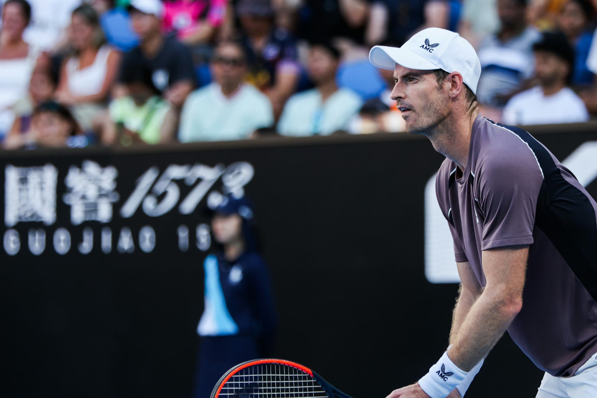 包含蒙特卡洛大师赛逆转澳网，穆雷高光表现的词条